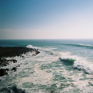 Meet your Posher, Adele